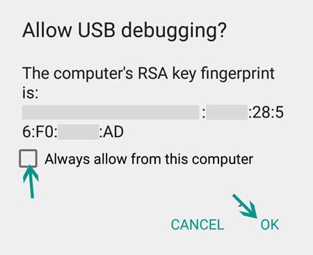 Allow USB Debugging