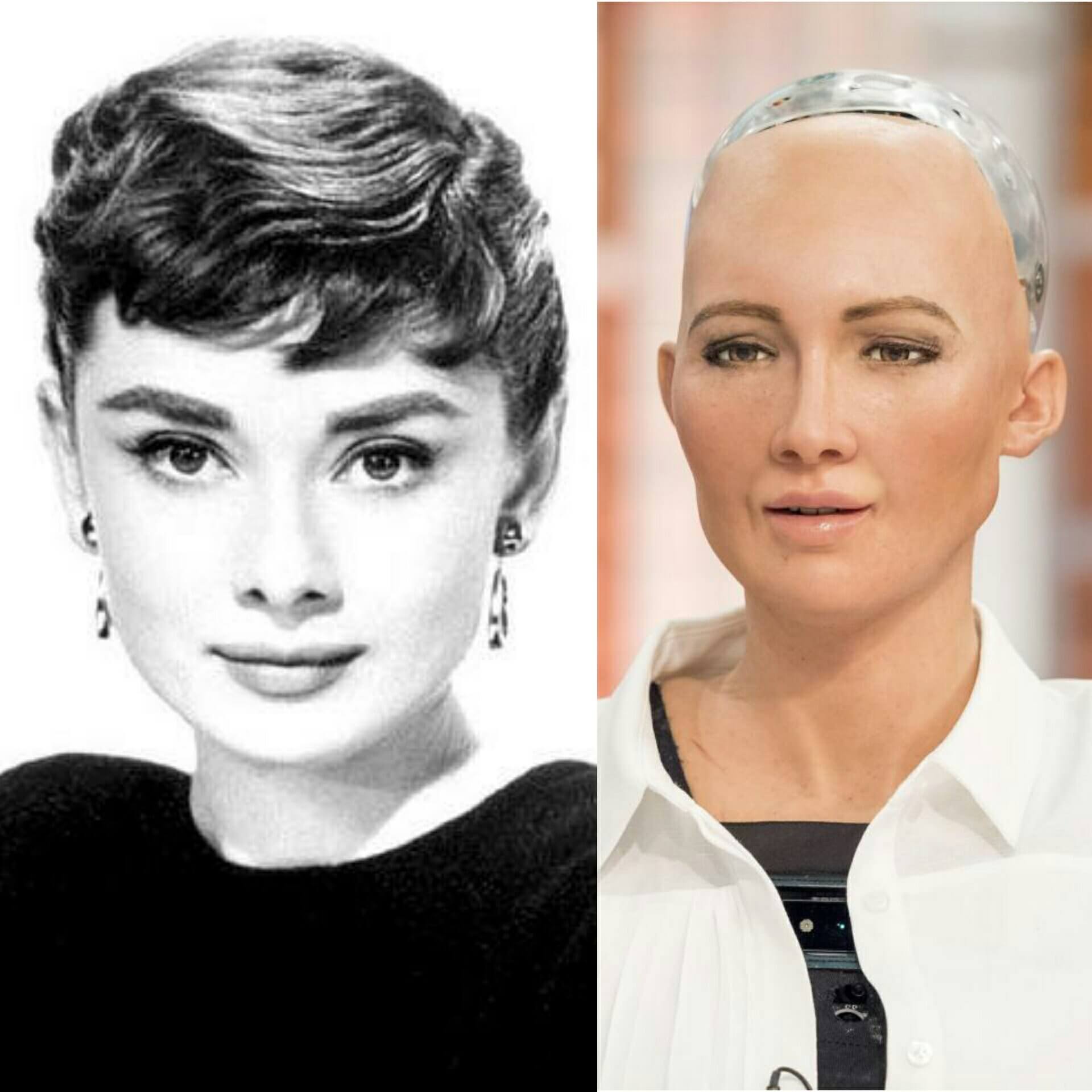 Meet Sophia, The World's First "Robot Citizen" - DevsJournal