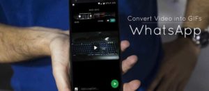 How to Convert Videos into GIFs inside WhatsApp