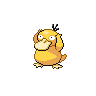 Psyduck