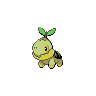 Turtwig