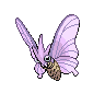 Venomoth