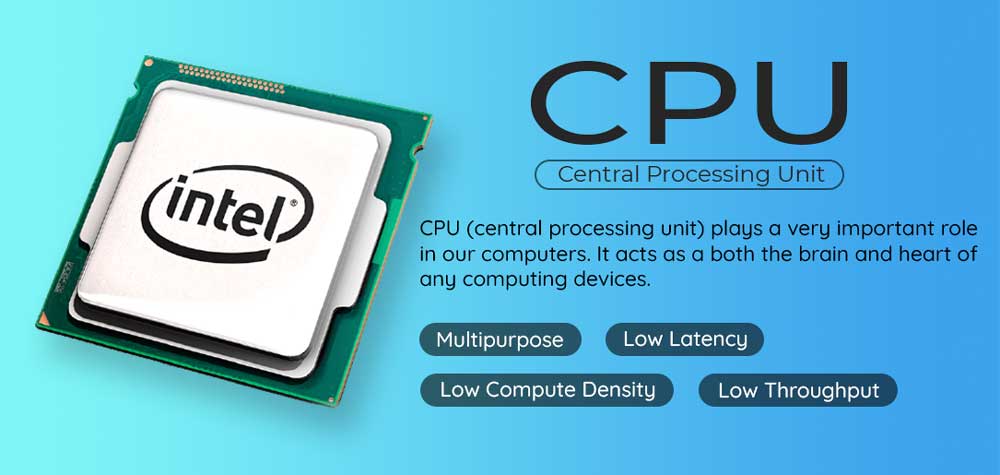 Central Processing Unit