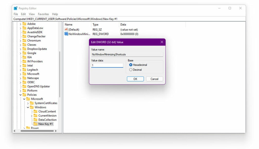 Enable Title Bar Window Shake in Windows 11 using Windows Registry Editor (2)