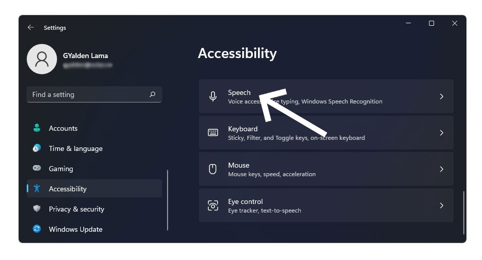 How to Enable Voice Access in Windows 11