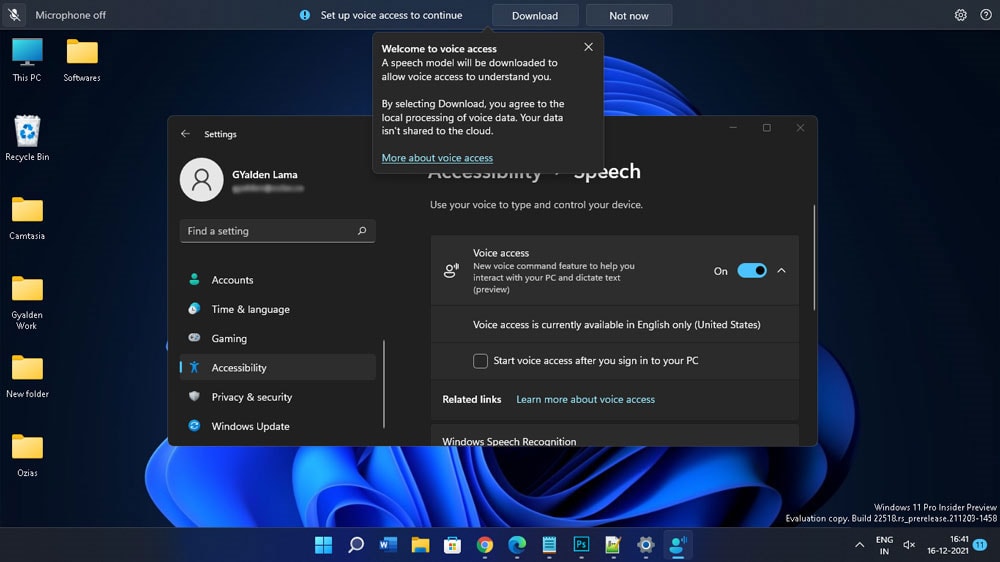 set up voice access in Windows 11