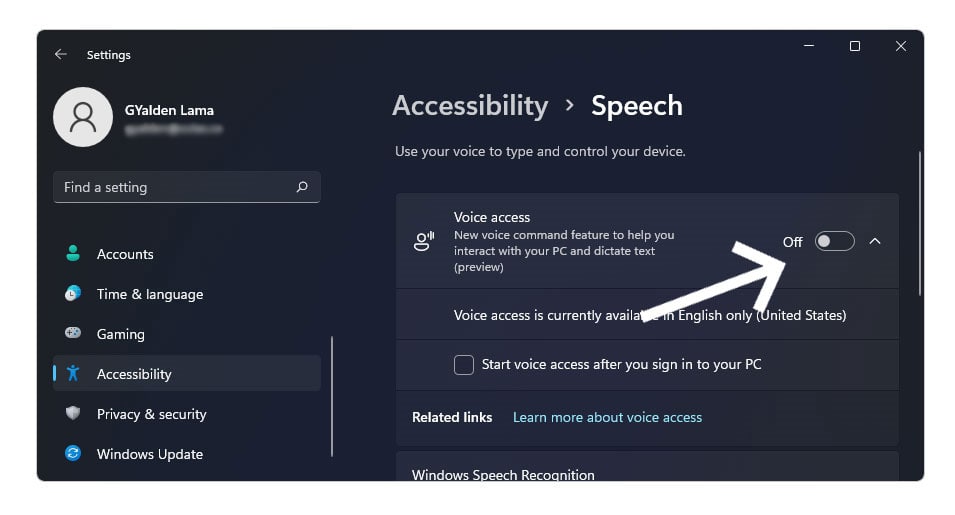 Enable Voice Access in Windows 11