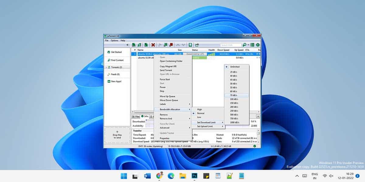 how to open bittorrent files on windows