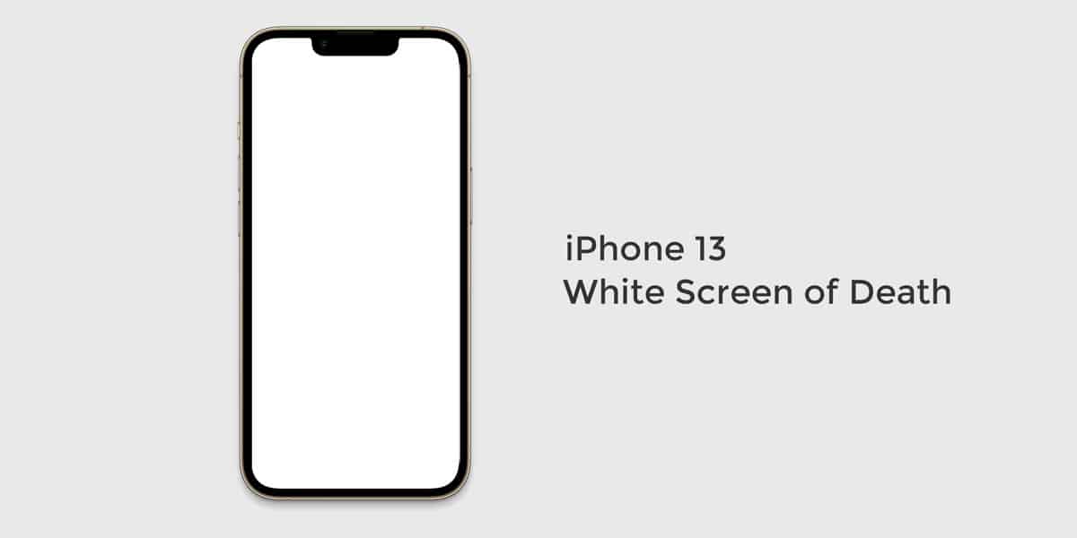 iPhone 13 White Screen