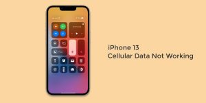 Cellular Data not Working on iPhone 13